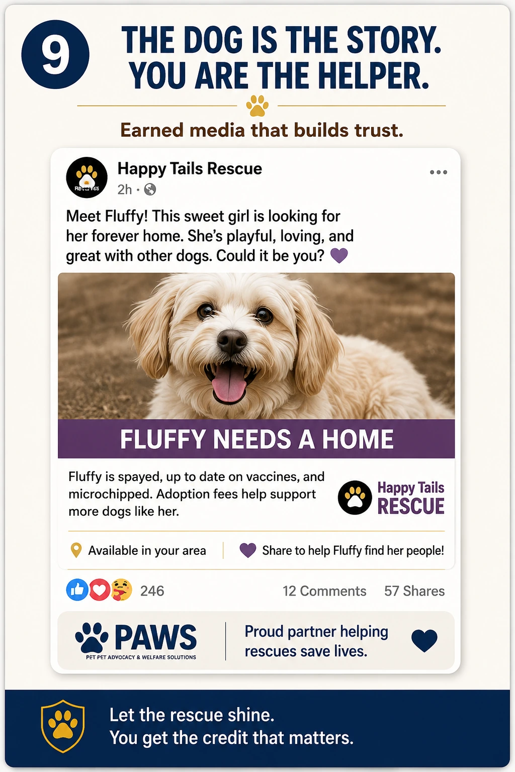 PAWS Dog Daycare earned media graphic showing a rescue social post for Fluffy, an adoptable dog, with PAWS shown as a proud partner helping rescues save lives.