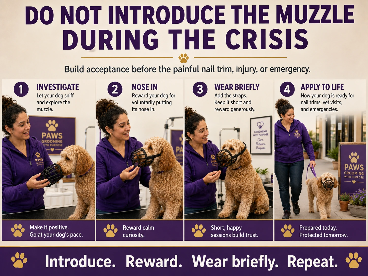 Four-step PAWS muzzle-training sequence showing a dog investigating the muzzle, placing its nose inside, wearing it briefly, and later walking calmly in it.