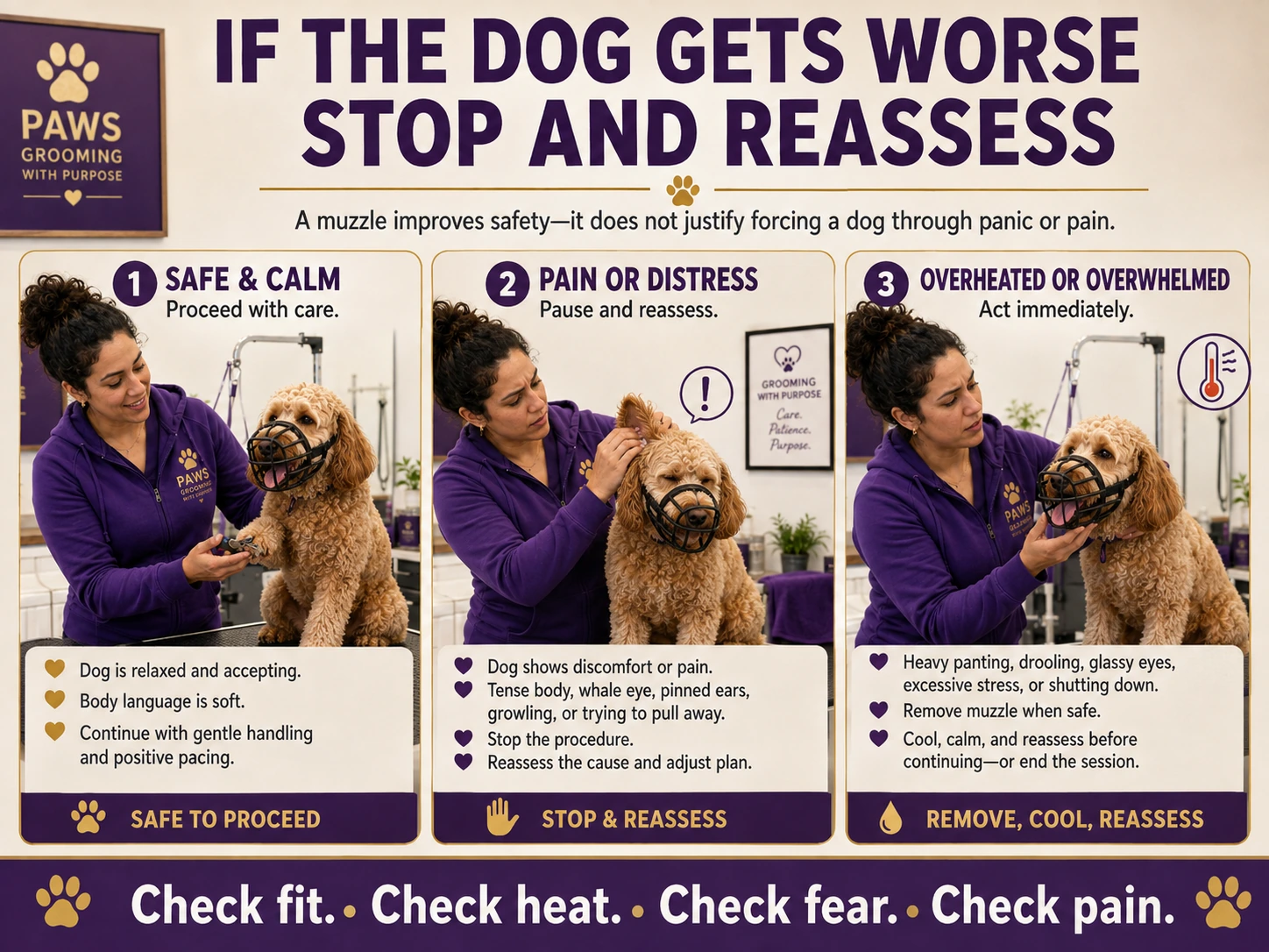 Three-panel PAWS grooming safety graphic showing when to proceed calmly, stop for pain or distress, and remove the muzzle for overheating or overwhelm.