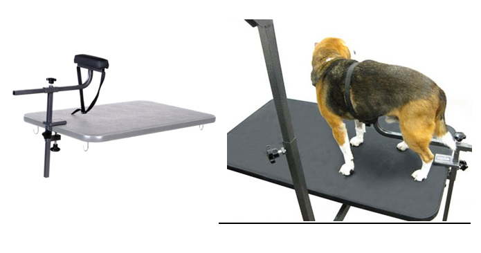 No-sit grooming post strapped around a dog behind the shoulders, creating raised and depressed areas in the coat where a groomer would normally clip.