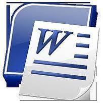 Business Plans are delivered as Microsoft Office Word documents 