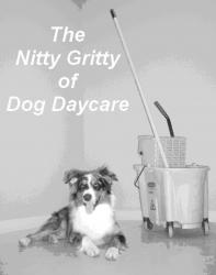 The Nitty Gritty of Dog Daycare