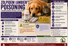Dog near zolpidem tablets, an Ambien prescription bottle, and a pet-poison warning.