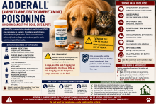 Dog near Adderall tablets, an amphetamine prescription bottle, and a pet-poison warning.