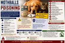 White mothballs and moth-repellent products beside a warning that naphthalene, paradichlorobenzene, or camphor can poison pets.