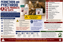 Permethrin flea and tick product warning for cats, showing that dog-only pyrethroid treatments can cause tremors and seizures.